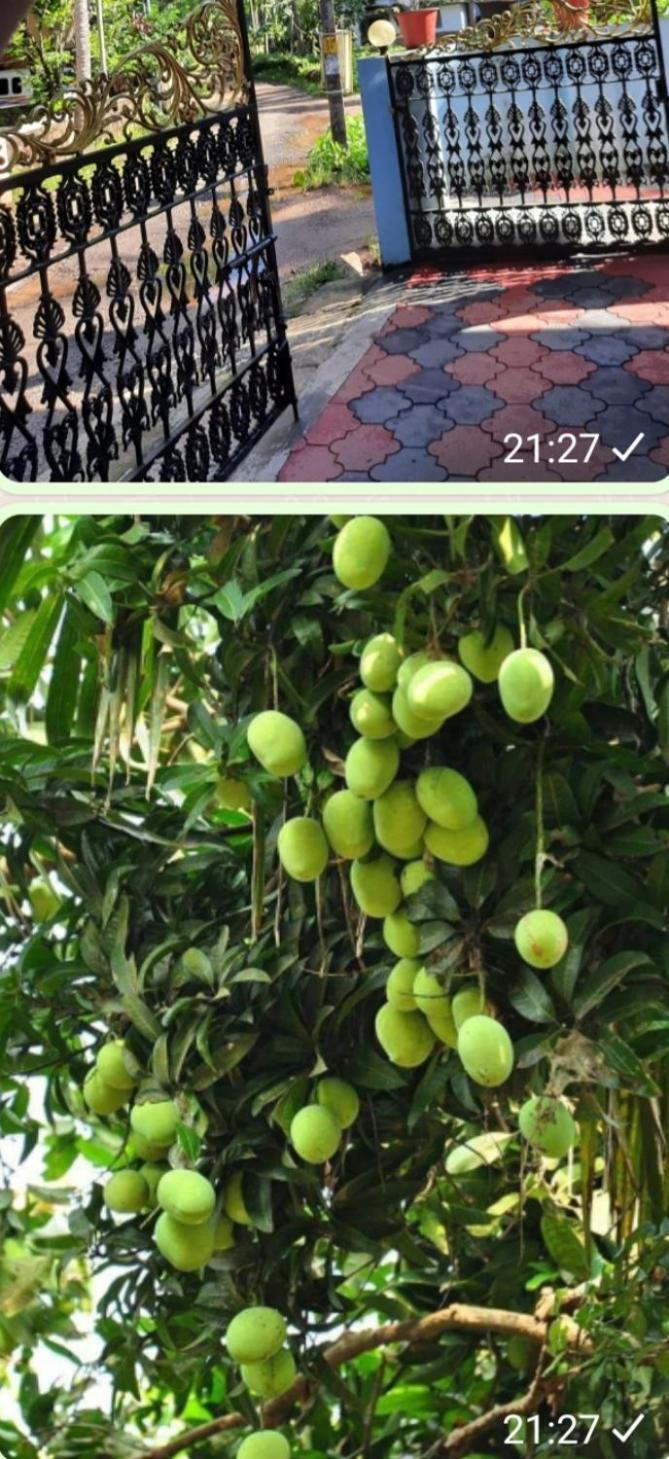 Urban Rose Homestay Kannur ภายนอก รูปภาพ